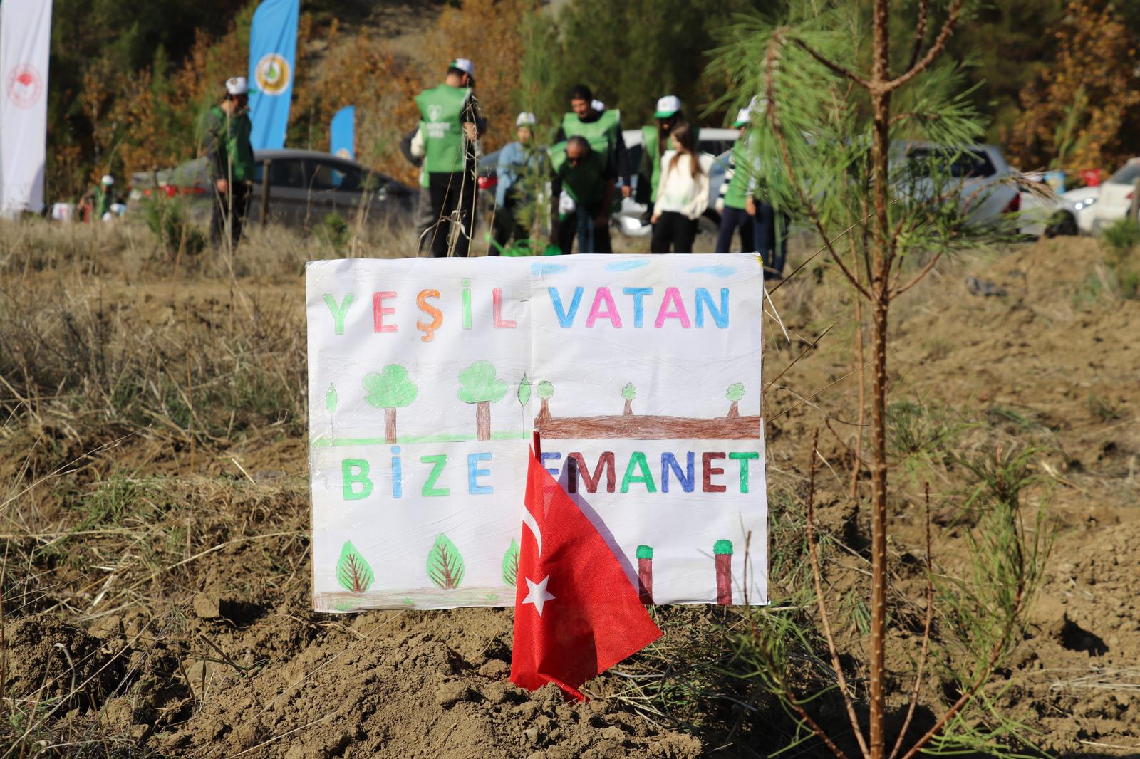 I M G 20251122 W A0036