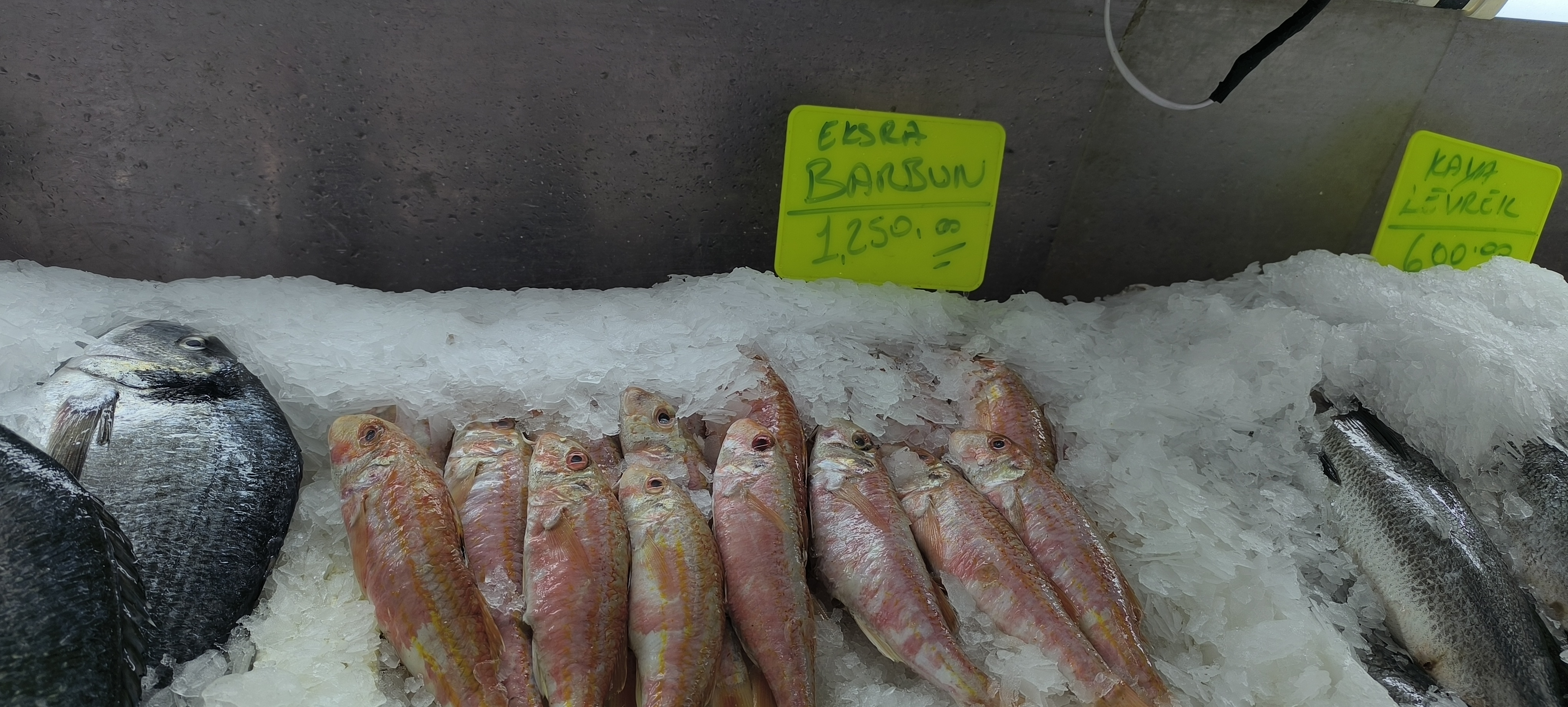 Maraş Balik Pazari (20)