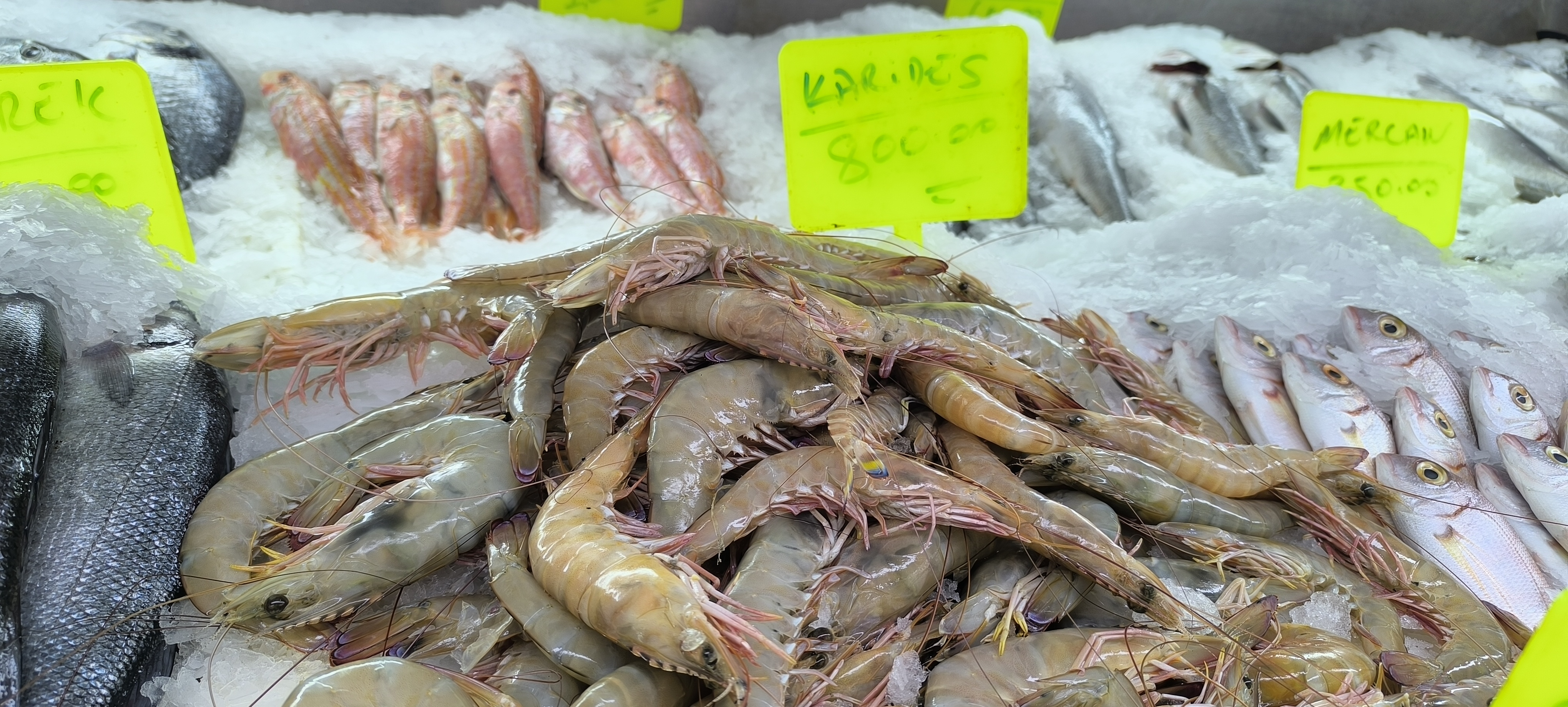 Maraş Balik Pazari (25)