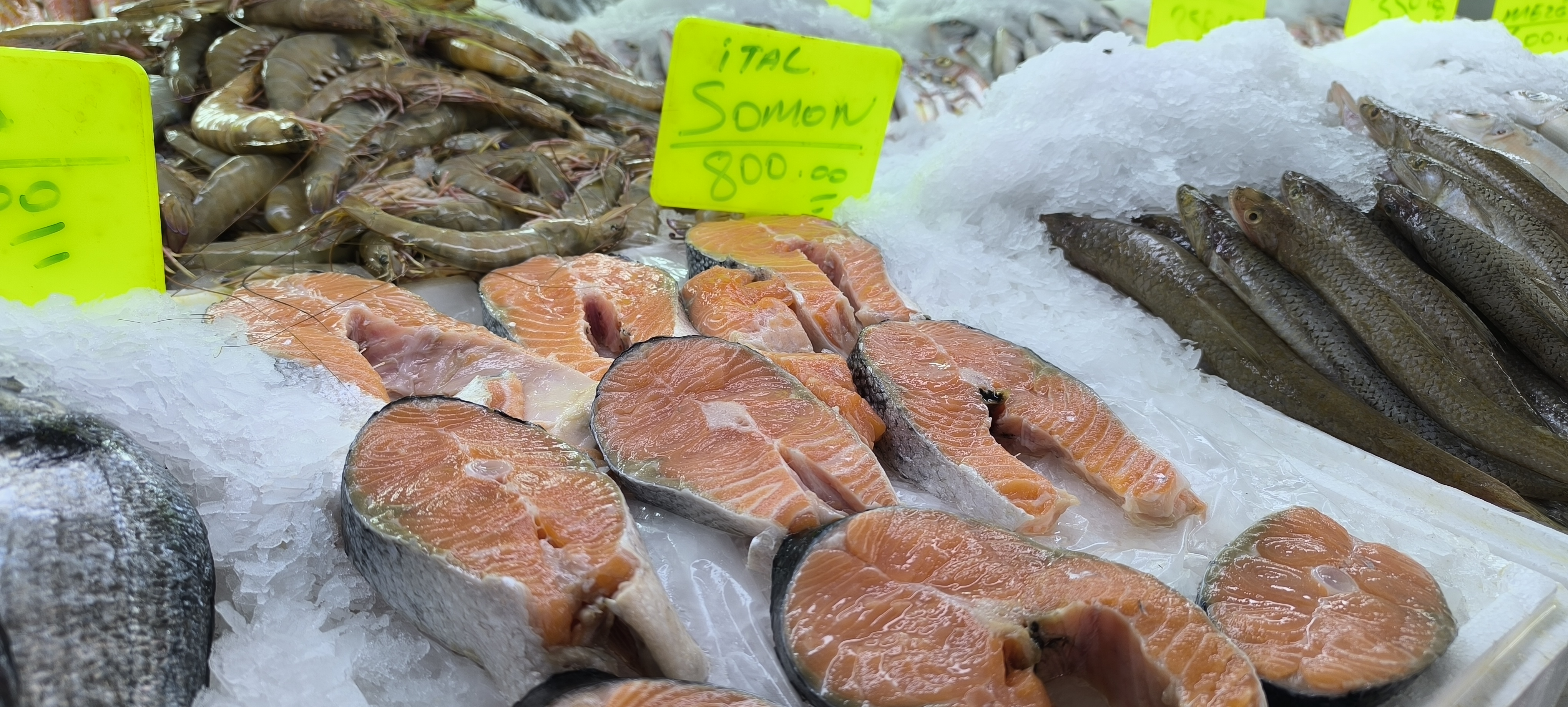 Maraş Balik Pazari (26)