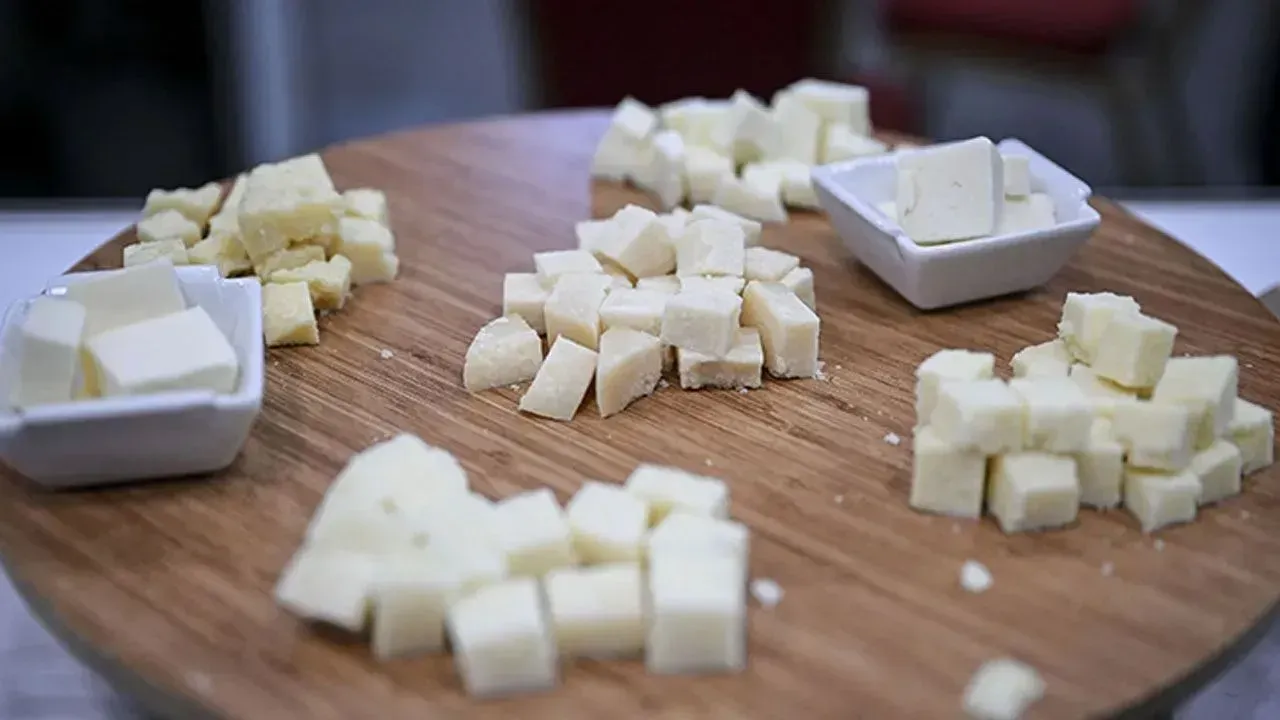 Peynir Tagsisli Tunceliemek