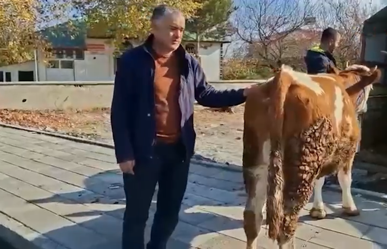 Şekerli̇ Vakfi 2-1