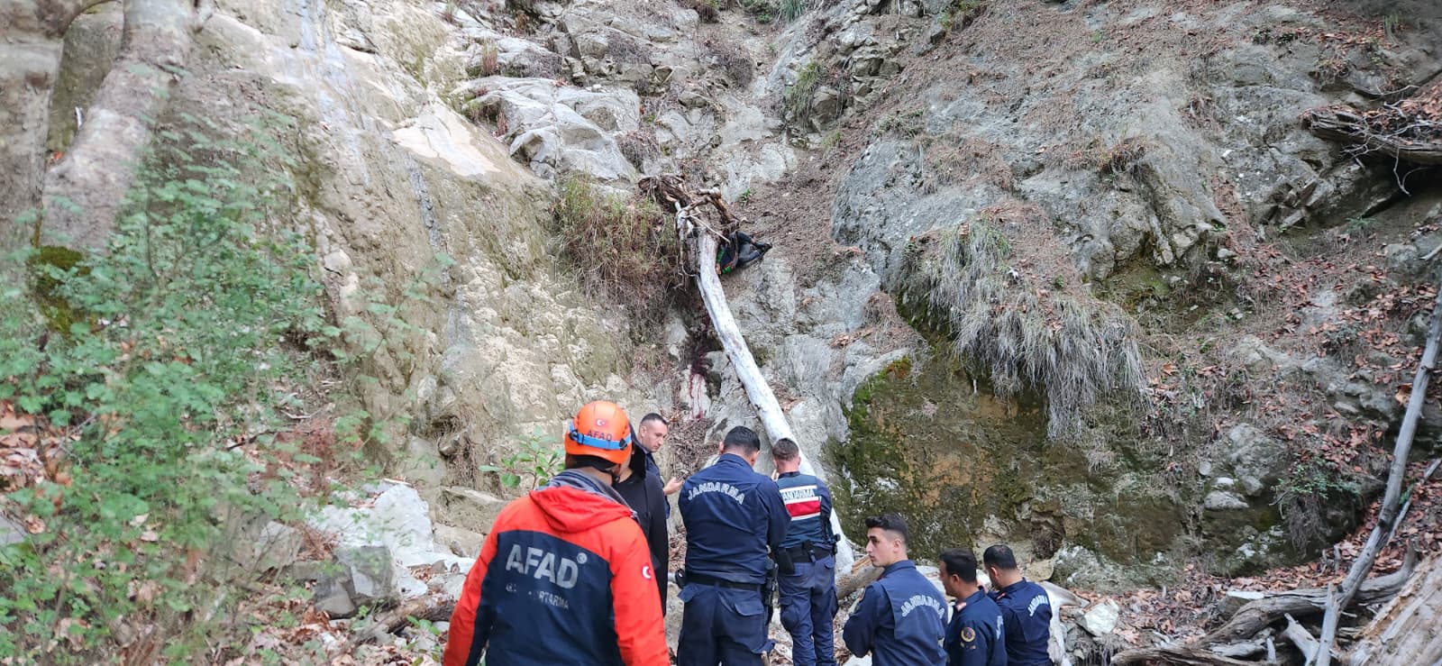 Whatsapp Image 2025 11 01 At 17.27.54