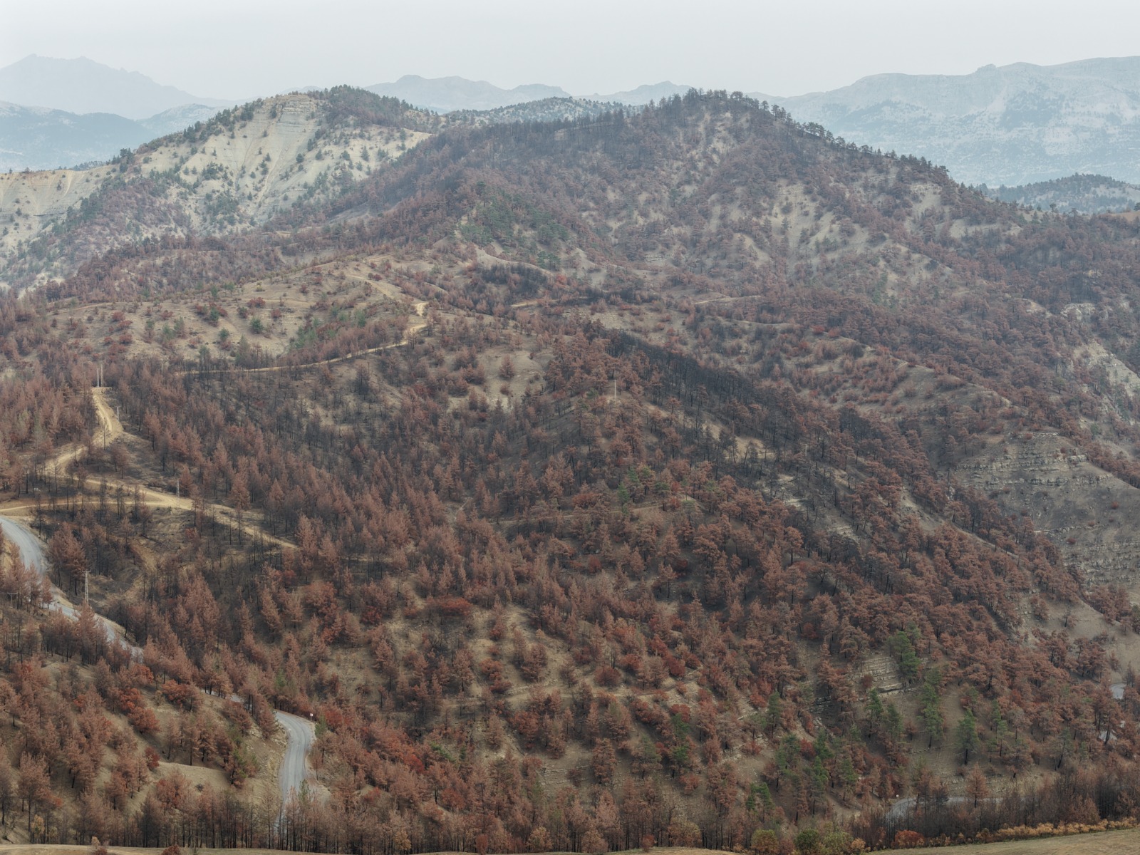 Whatsapp Image 2025 11 11 At 14.38.07