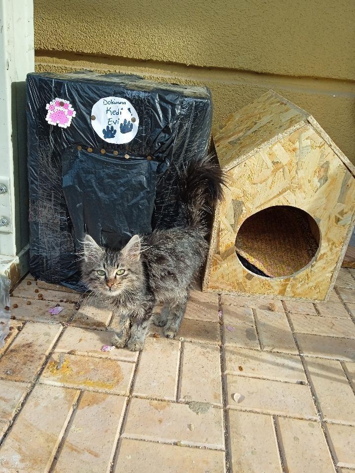 13092806 Whatsappgorsel20251213Saat09.18.24 8F6D2256