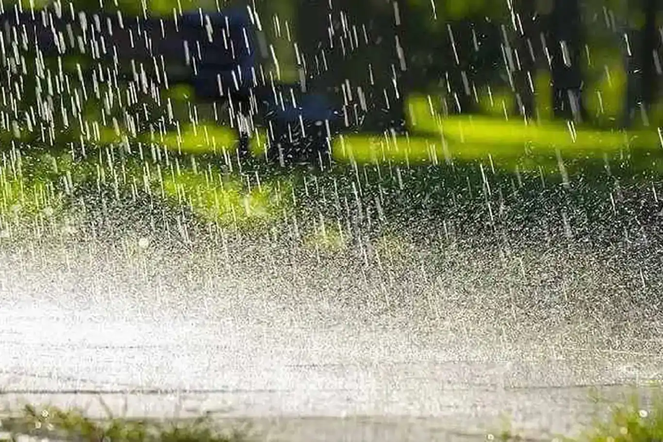 7353D814 1Abe 454F A4F6 9E5393985785