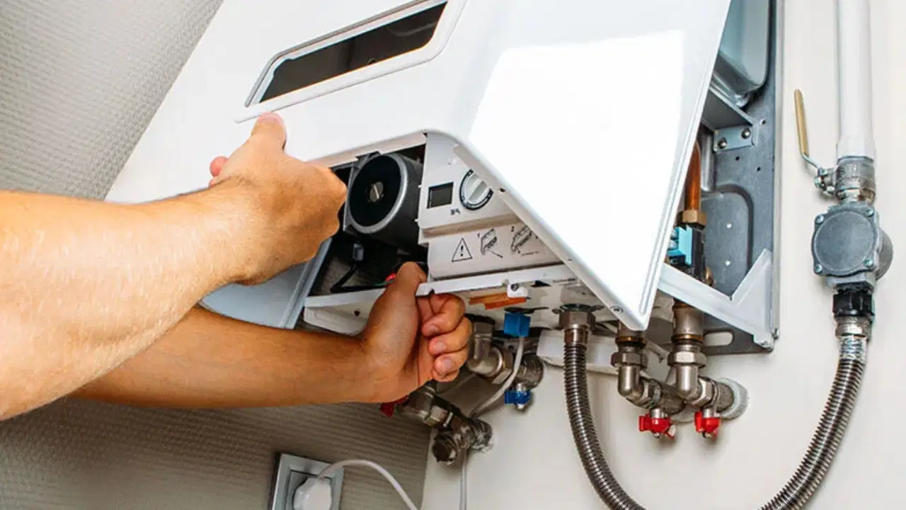 B1C9E6Ce Ce2E 424F 8445 4301712883Fc