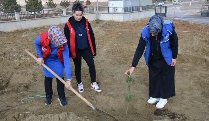 Ekran Görüntüsü 2025 12 06 133423