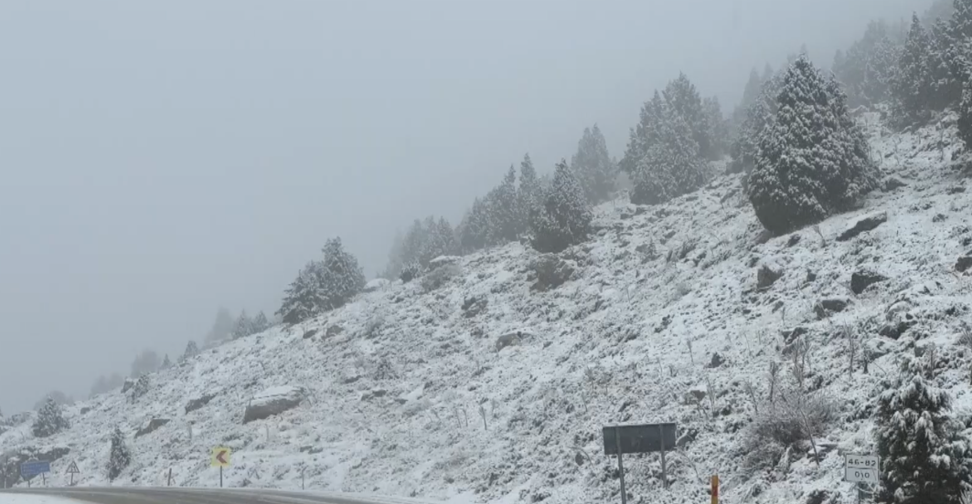 Ekran Görüntüsü 2025 12 11 155834