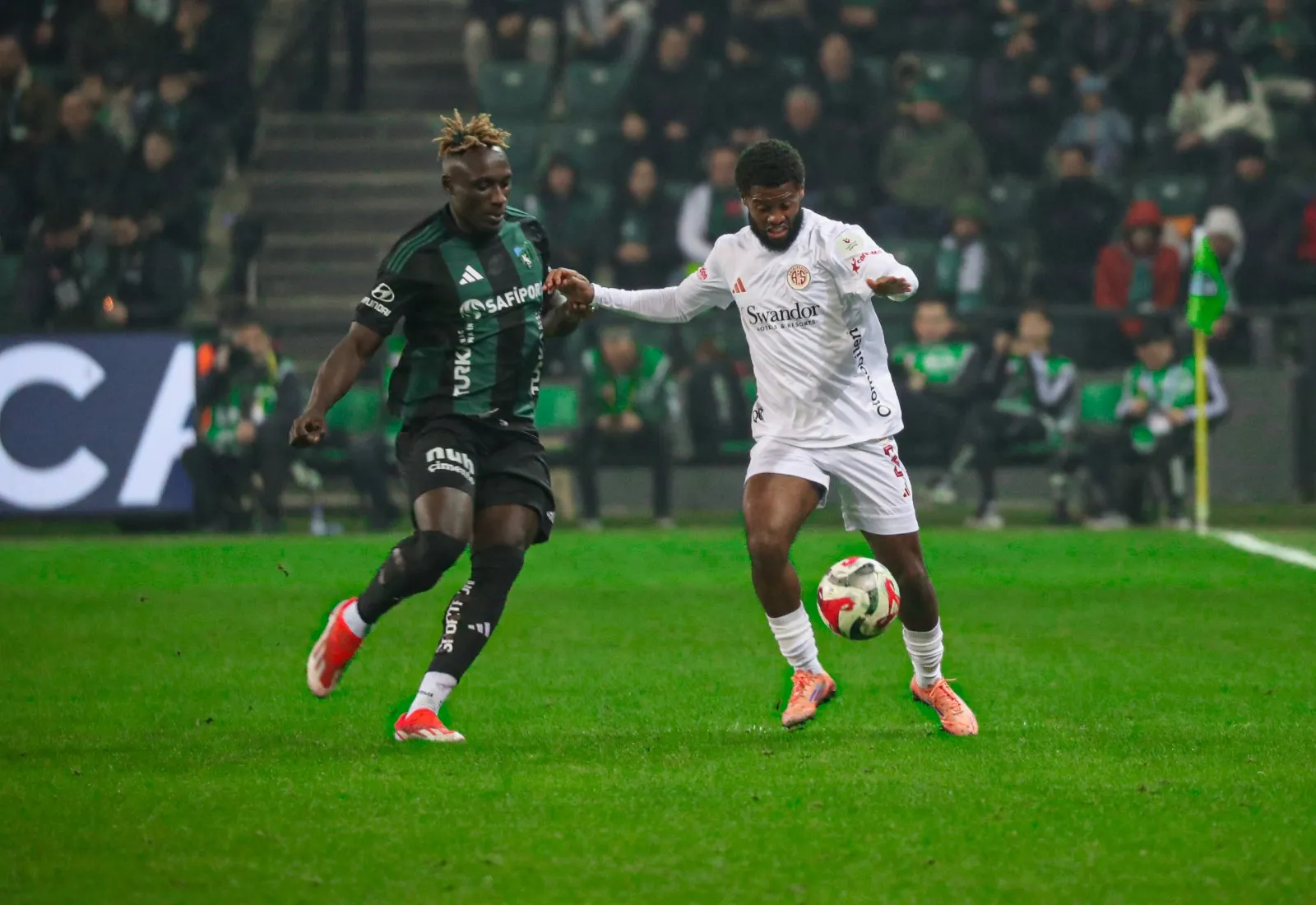 I M G 20251219 W A0196