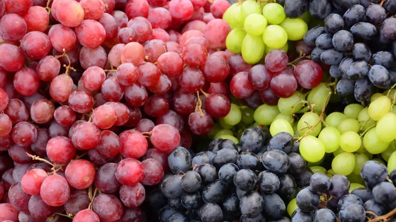 Kocaeli Gazetesi Yilbasinda Masanin Lr03 7Dpz