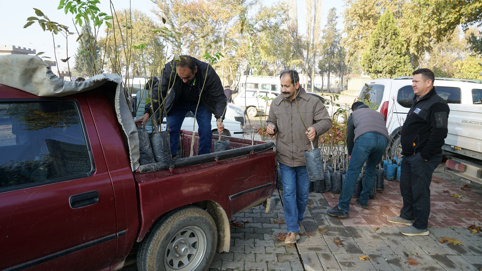 Thumbnail Fidan Dağıtımı (3)