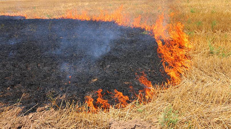 Whatsapp Image 2022 05 26 At 15.10.08