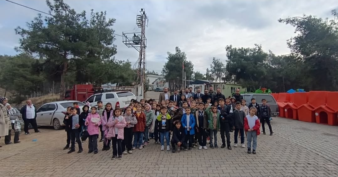 Whatsapp Image 2025 12 05 At 16.00.00