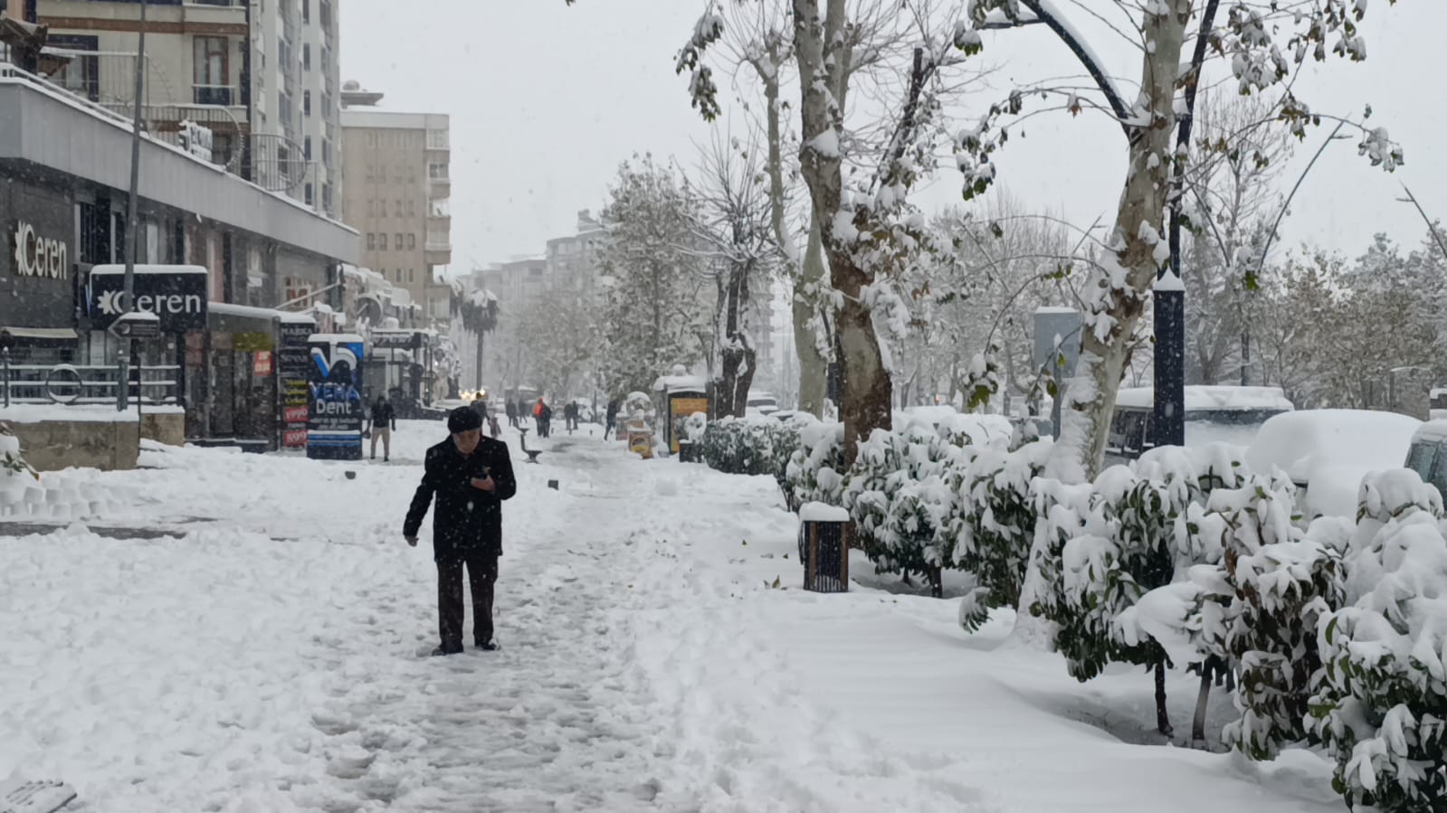 Whatsapp Image 2025 12 31 At 11.54.30-1