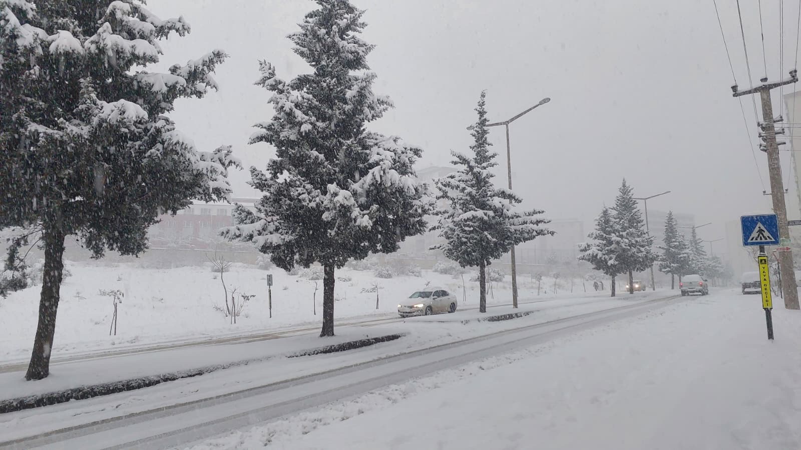 Whatsapp Image 2025 12 31 At 12.31.03 (1)-1