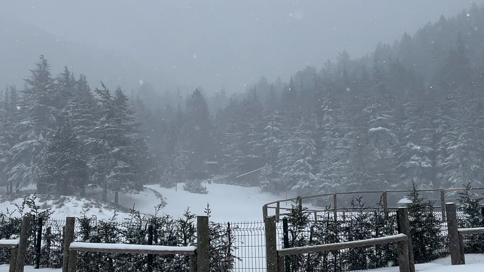 Whatsapp Image 2025 12 31 At 17.58.35