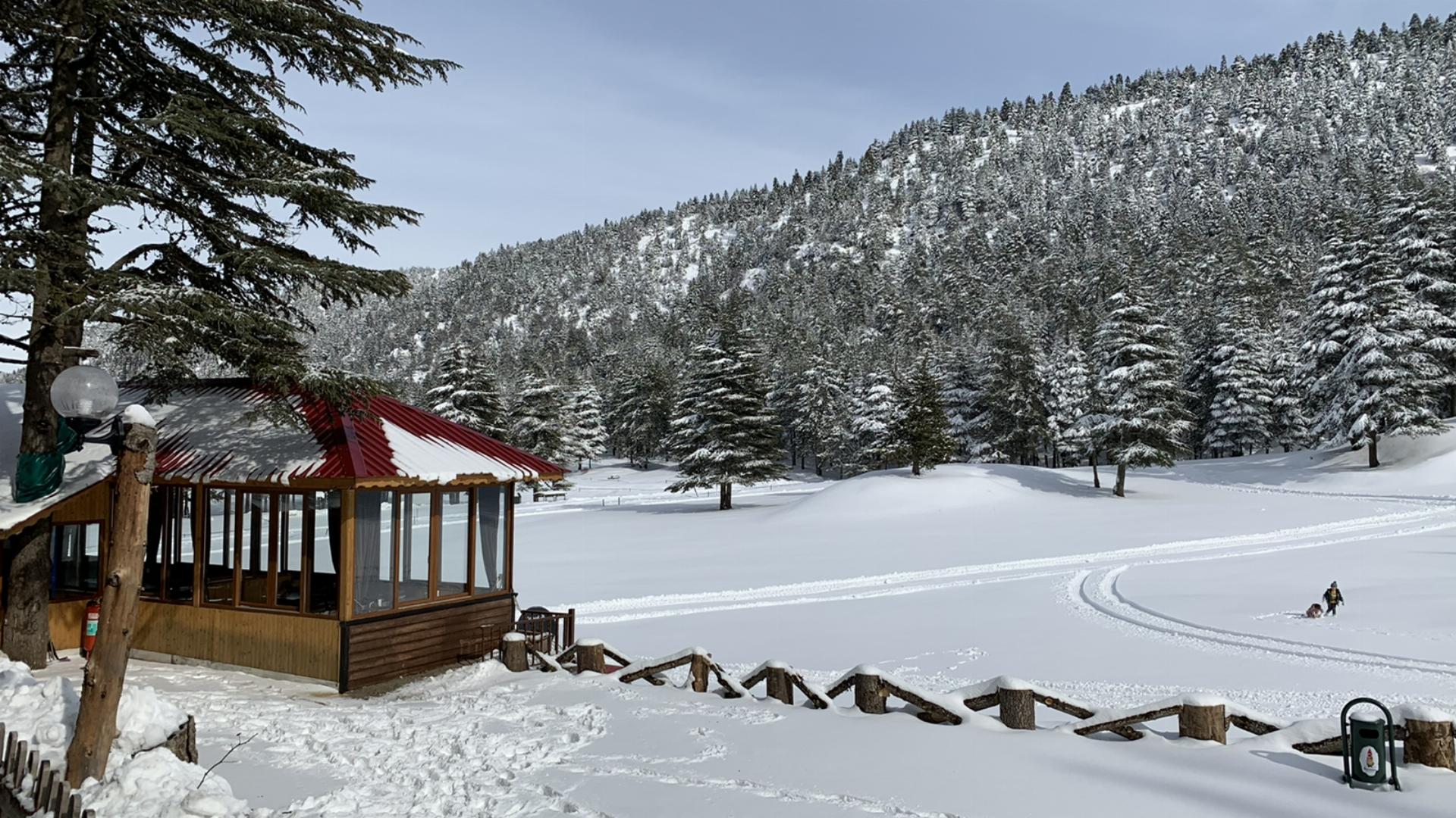 063A9Ced 7F29 4A3D B7F4 37544Eaaea9E