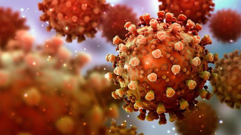 0X0 Hindistanda Ortaya Cikti Ve Tedavisi Yok Nipah Virusu Belirtileri Neler 1769432712015