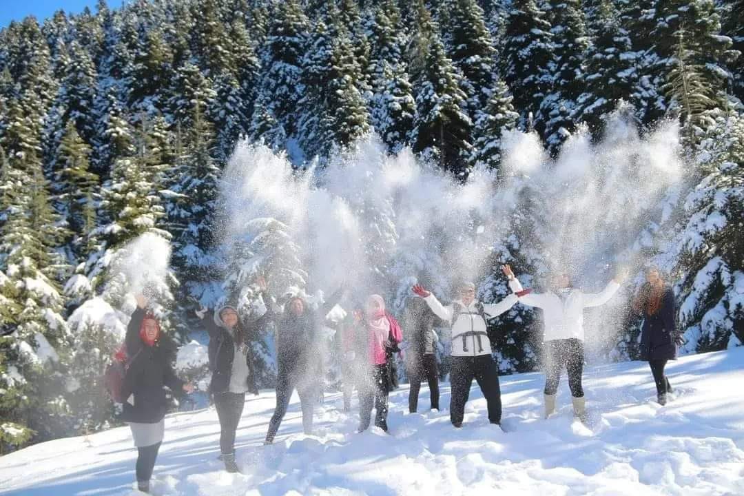 327612430 513241857545268 5866202052420974805 N