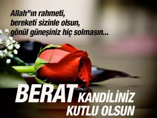 6376D0E645D2A008C88A3417