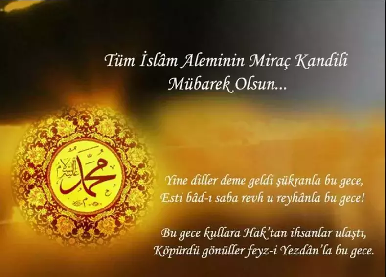 65C080C2530Cb6Da5D8186Ee