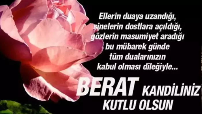 67Ab9D2B9C3D6Fe3A99Ccbc4