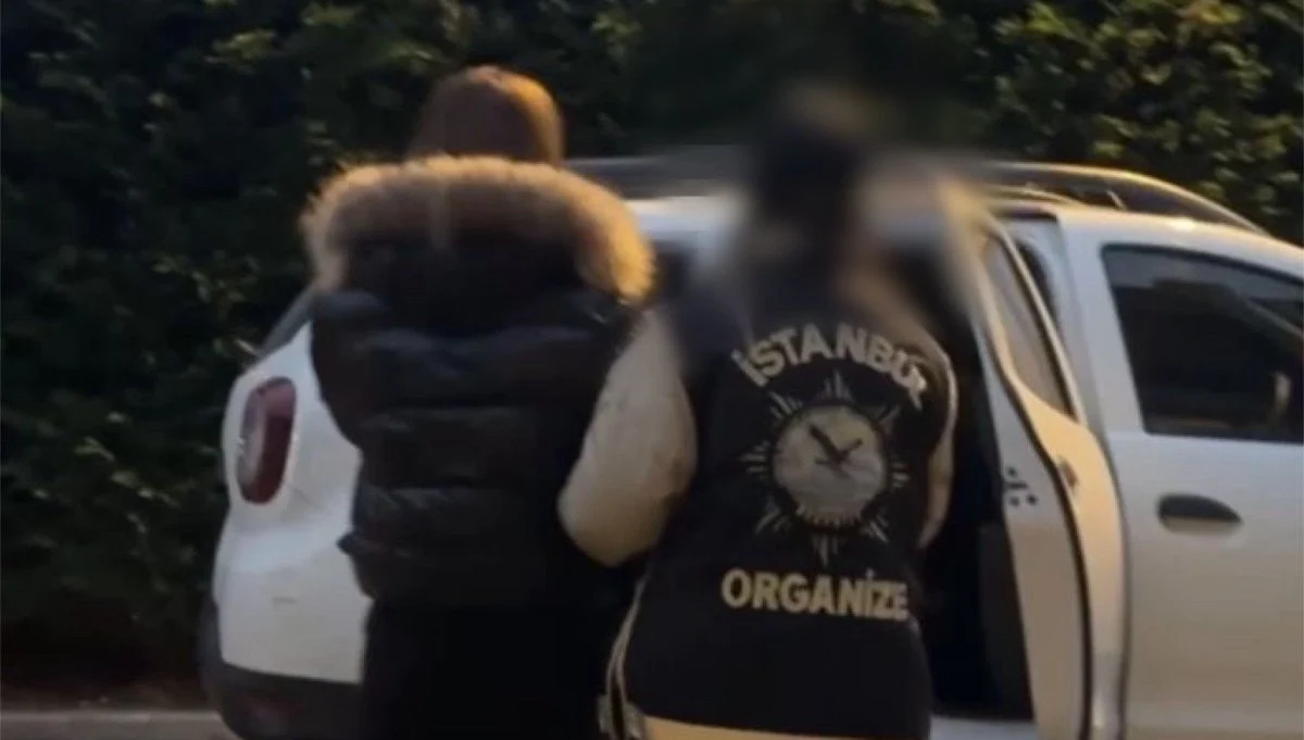 697Cd50F6231E248 W1200Xh681