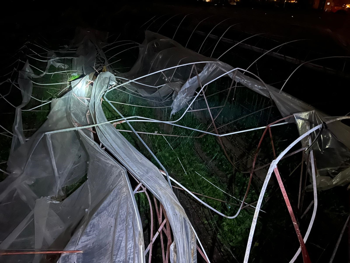 A A 20260126 40376128 40376122 A N T A L Y A D A E T K I L I O L A N F I R T I N A V E H O R T U M B A Z I E V S E R A V E A R A C L A R A Z A R A R V E R D I