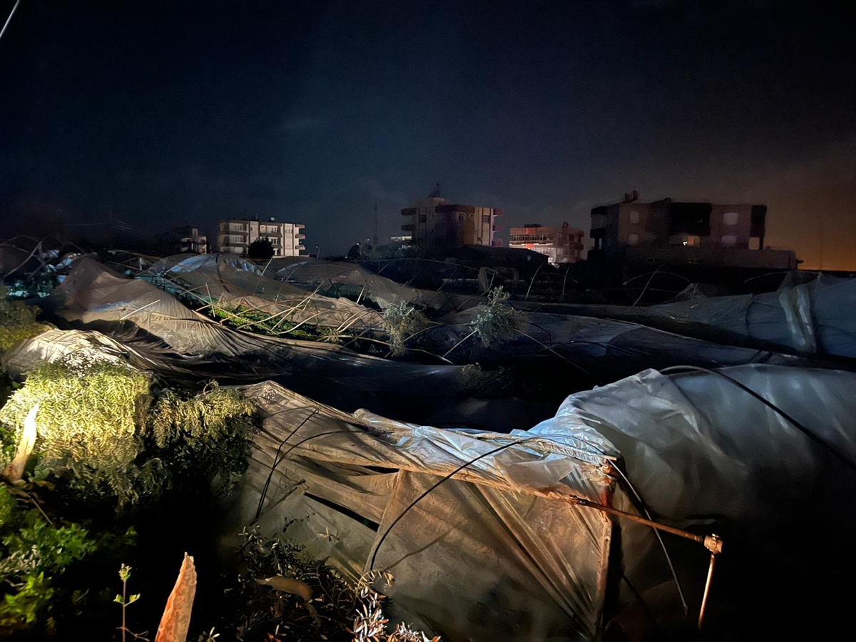 A A 20260126 40376128 40376125 A N T A L Y A D A E T K I L I O L A N F I R T I N A V E H O R T U M B A Z I E V S E R A V E A R A C L A R A Z A R A R V E R D I