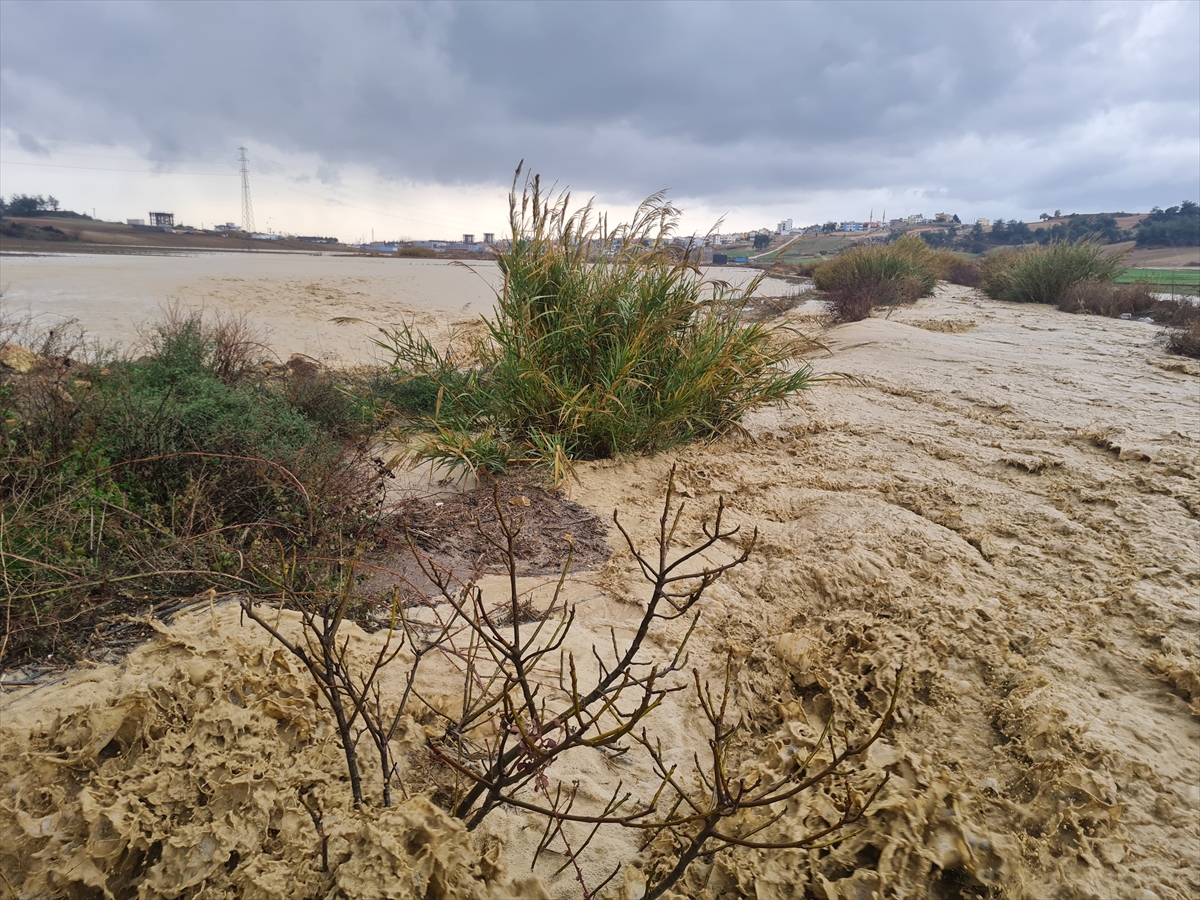 A A 20260130 40407098 40407093 A D A N A D A K U V V E T L I Y A G I S H A Y A T I O L U M S U Z E T K I L E D I