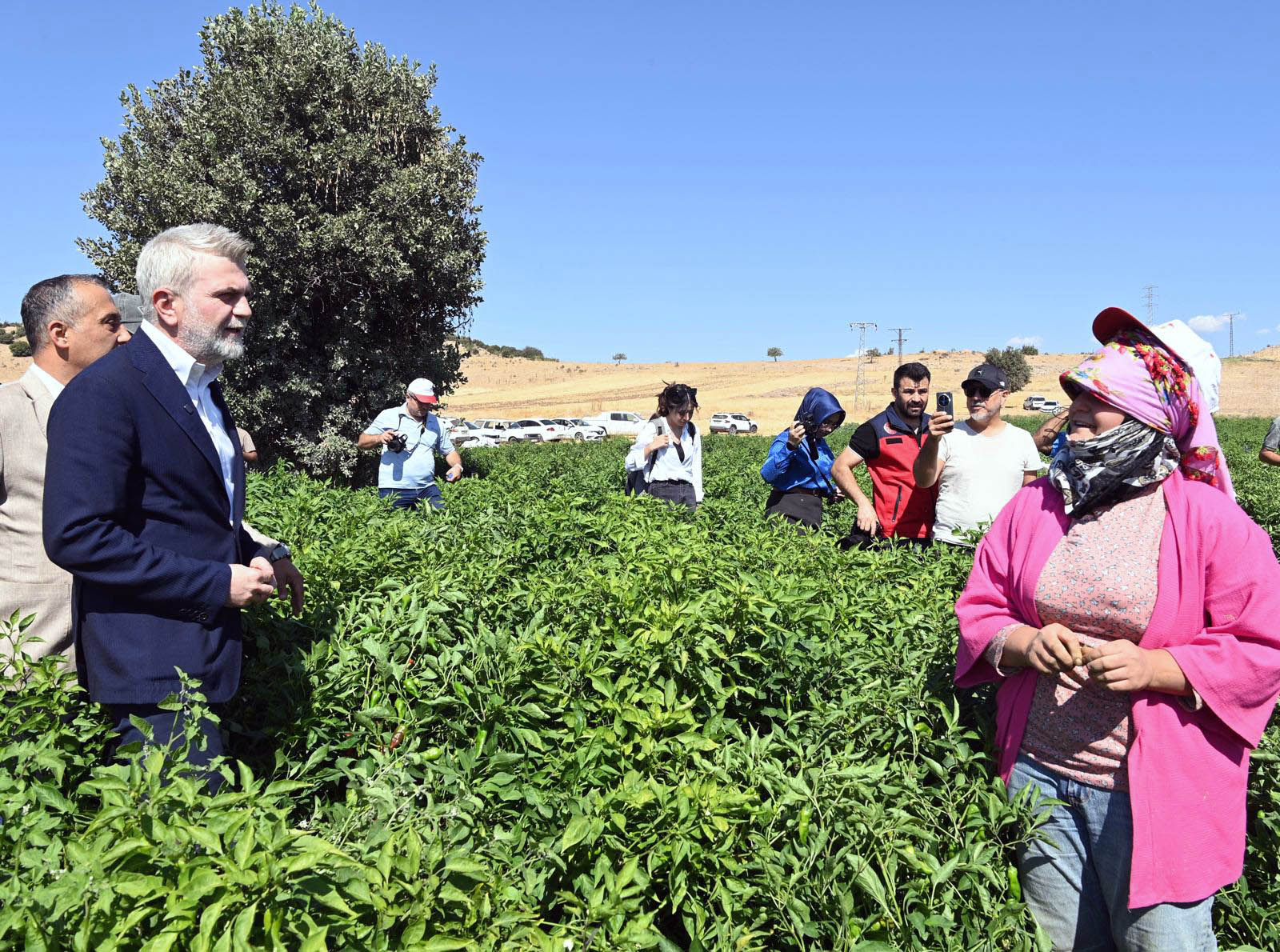 F3524A64 E26E 4D44 B6D8 881A6C26Efa8