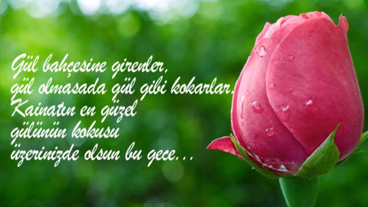 R X Z O Y 1676616765 3998