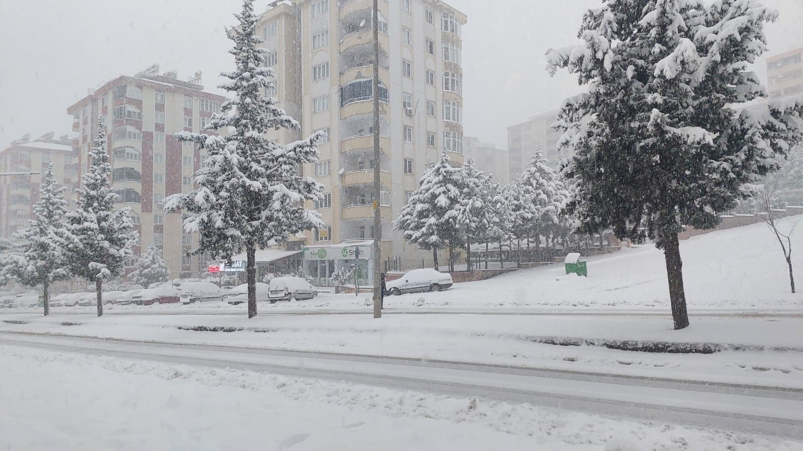 Whatsapp Image 2026 01 01 At 17.31.31 (1)