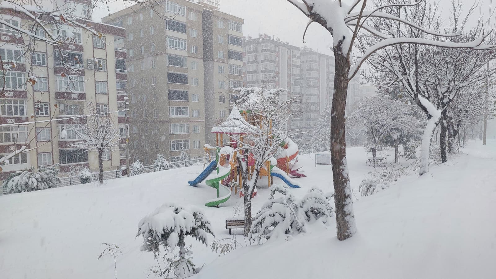 Whatsapp Image 2026 01 01 At 17.31.31 (2)