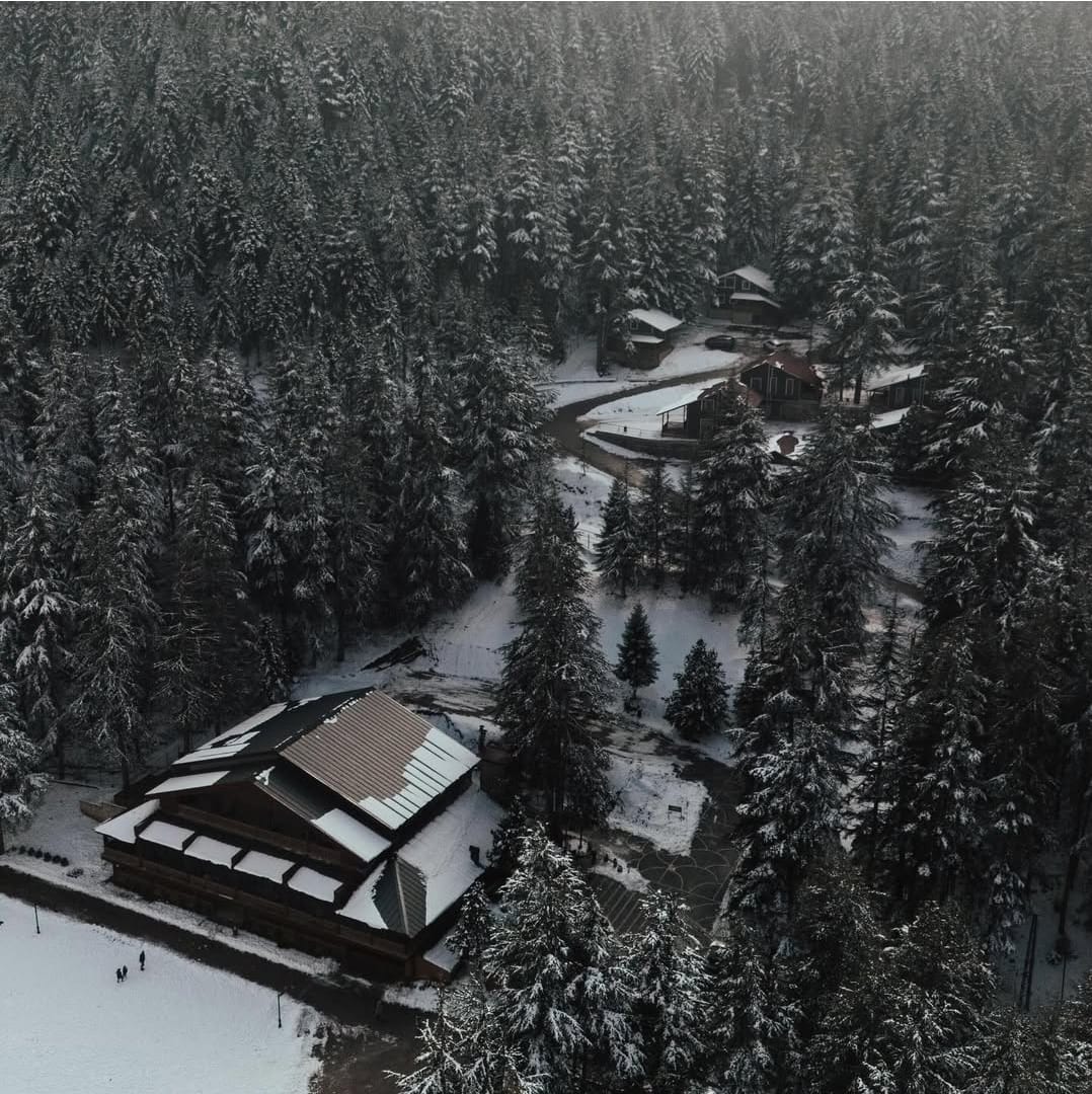 Whatsapp Image 2026 01 01 At 17.45.27 (1)