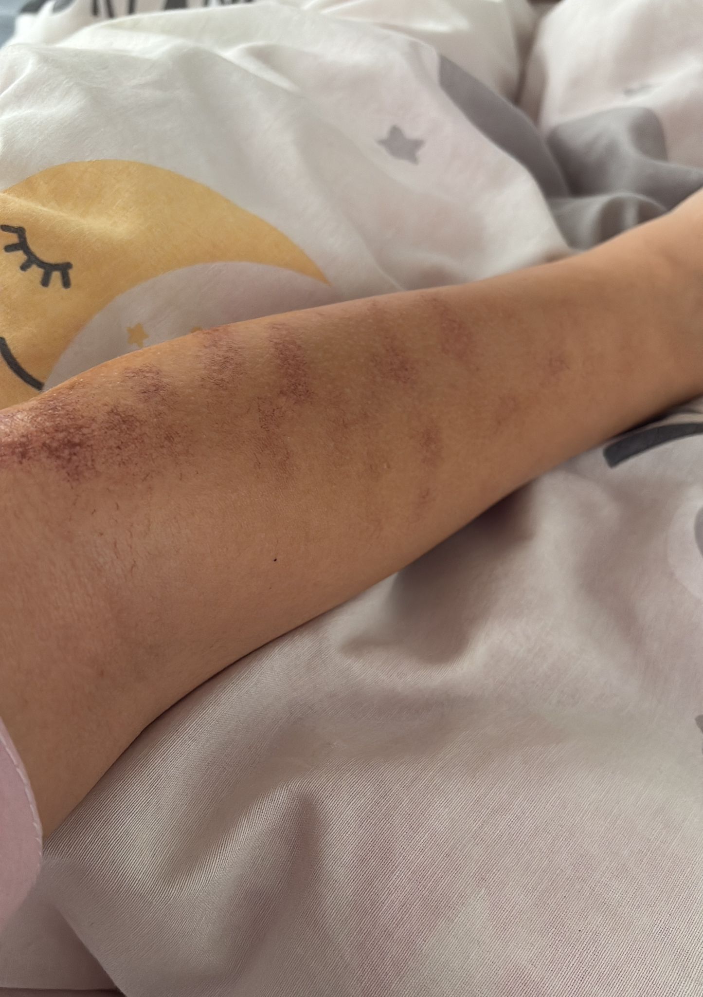 Whatsapp Image 2026 01 03 At 13.00.42 (1)