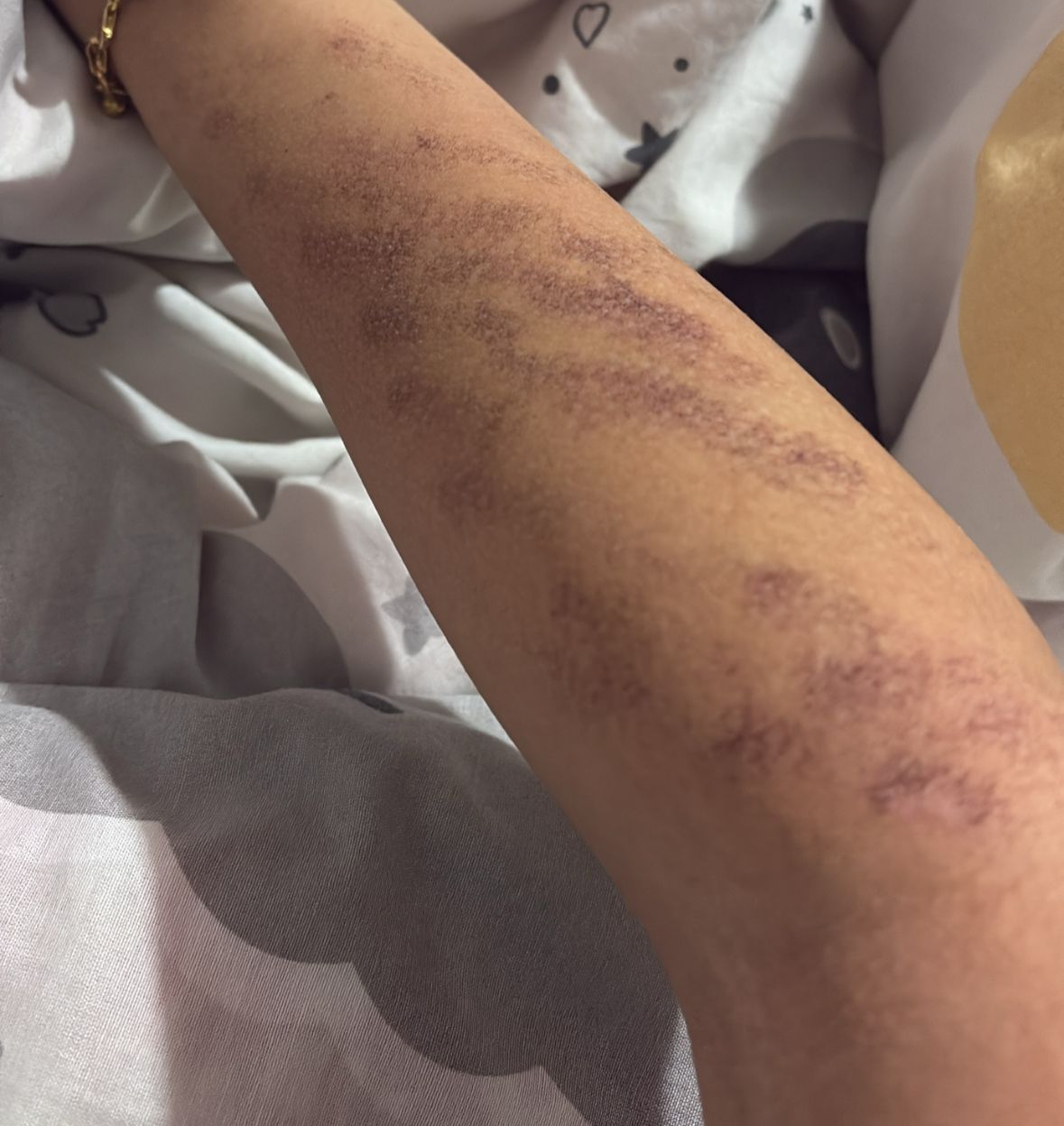 Whatsapp Image 2026 01 03 At 13.00.42 (2)