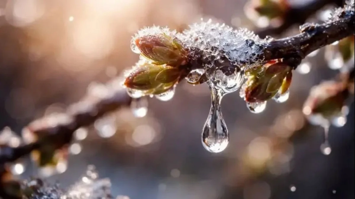 2026 Cemre Tarihleri Aciklandi Ilk Cemre Ne Zaman 122015 20260215