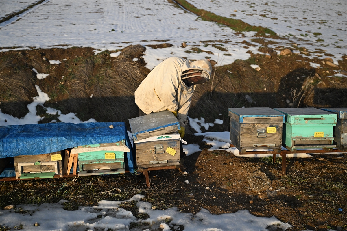 A A 20260202 40434982 40434972 6 S U B A T D E P R E M L E R I N I N U C U N C U Y I L I D E P R E M D E A R I L A R I N I K A Y B E D E N A R I C I D E V L E T D E S T E G I Y L E U R E T I M I N I S U R D U R D U