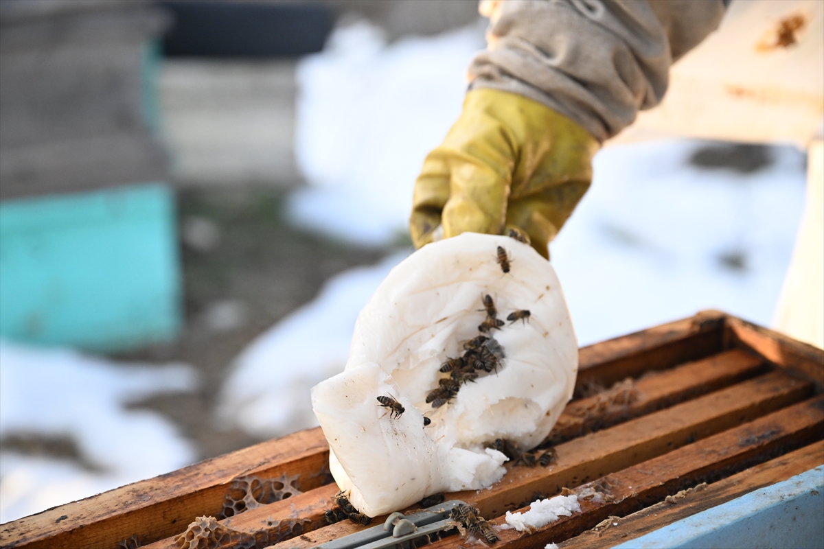 A A 20260202 40434982 40434975 6 S U B A T D E P R E M L E R I N I N U C U N C U Y I L I D E P R E M D E A R I L A R I N I K A Y B E D E N A R I C I D E V L E T D E S T E G I Y L E U R E T I M I N I S U R D U R D U