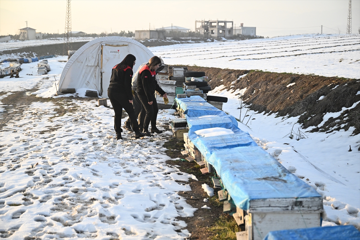 A A 20260202 40434982 40434977 6 S U B A T D E P R E M L E R I N I N U C U N C U Y I L I D E P R E M D E A R I L A R I N I K A Y B E D E N A R I C I D E V L E T D E S T E G I Y L E U R E T I M I N I S U R D U R D U