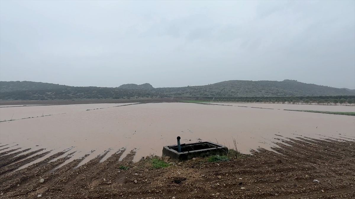 A A 20260213 40544257 40544250 O S M A N I Y E D E S A G A N A K N E D E N I Y L E B A Z I E V L E R I V E T A R I M A R A Z I L E R I N I S U B A S T I