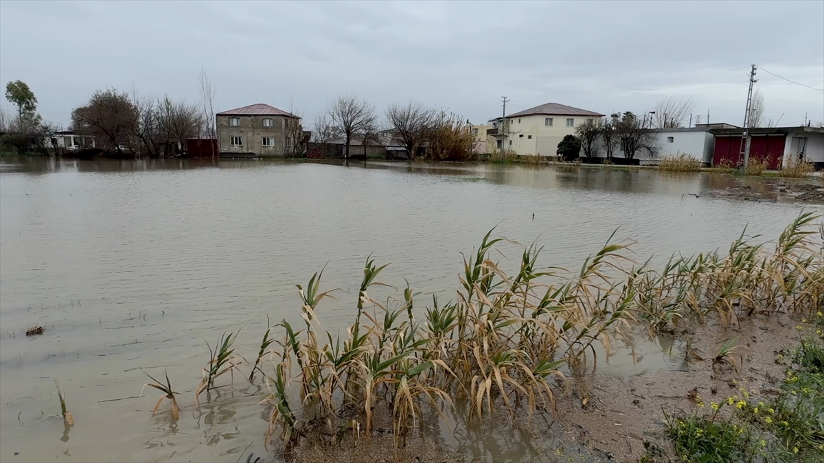 A A 20260213 40544257 40544251 O S M A N I Y E D E S A G A N A K N E D E N I Y L E B A Z I E V L E R I V E T A R I M A R A Z I L E R I N I S U B A S T I