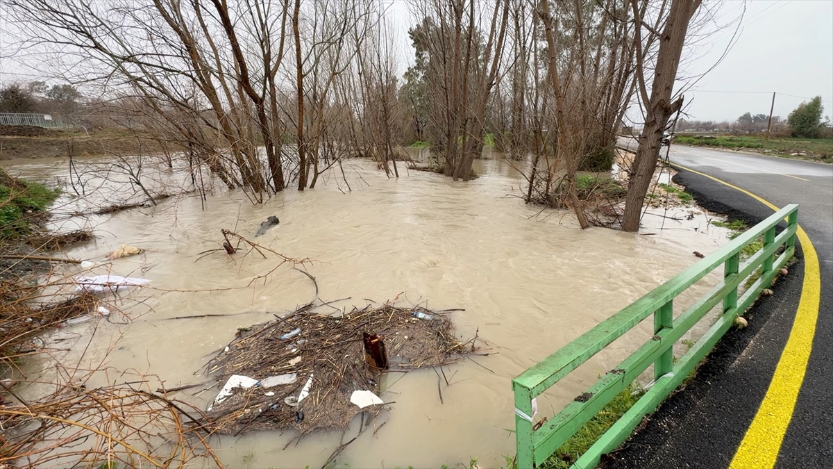 A A 20260213 40544257 40544252 O S M A N I Y E D E S A G A N A K N E D E N I Y L E B A Z I E V L E R I V E T A R I M A R A Z I L E R I N I S U B A S T I