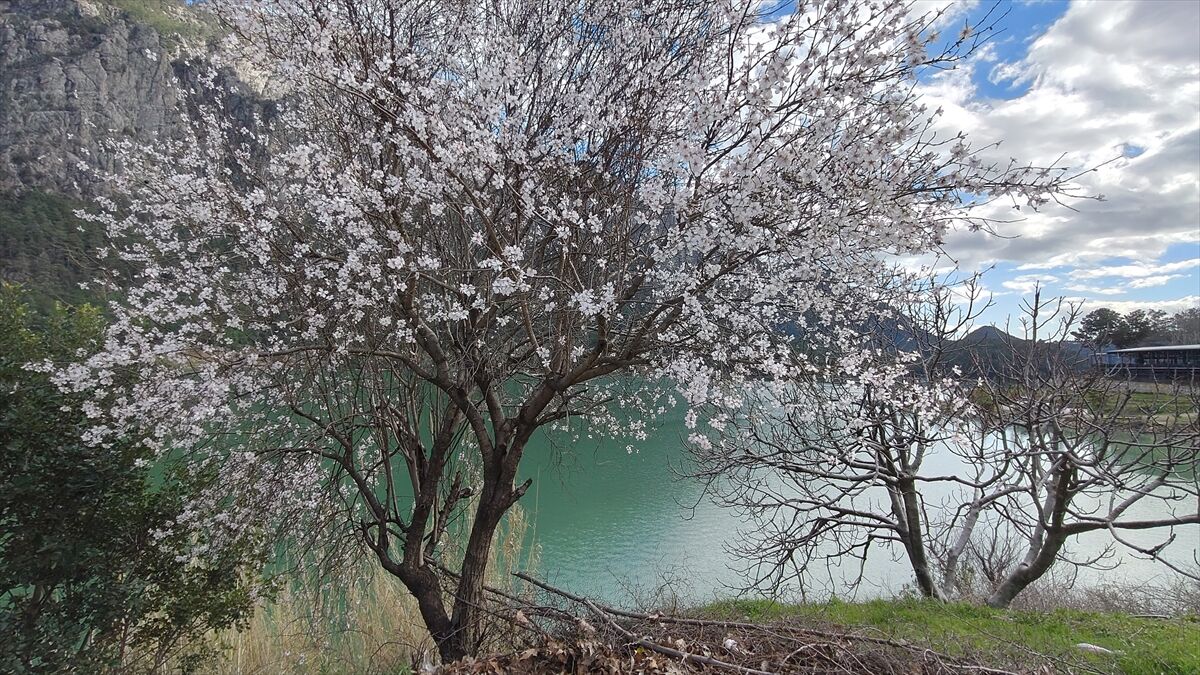 A A 20260223 40645725 40645720 B U R D U R D A B A D E M A G A C L A R I C I C E K A C T I