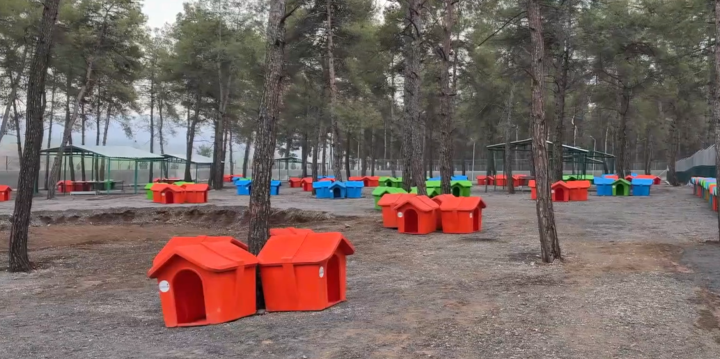 Ekran Görüntüsü 2026 02 10 120417