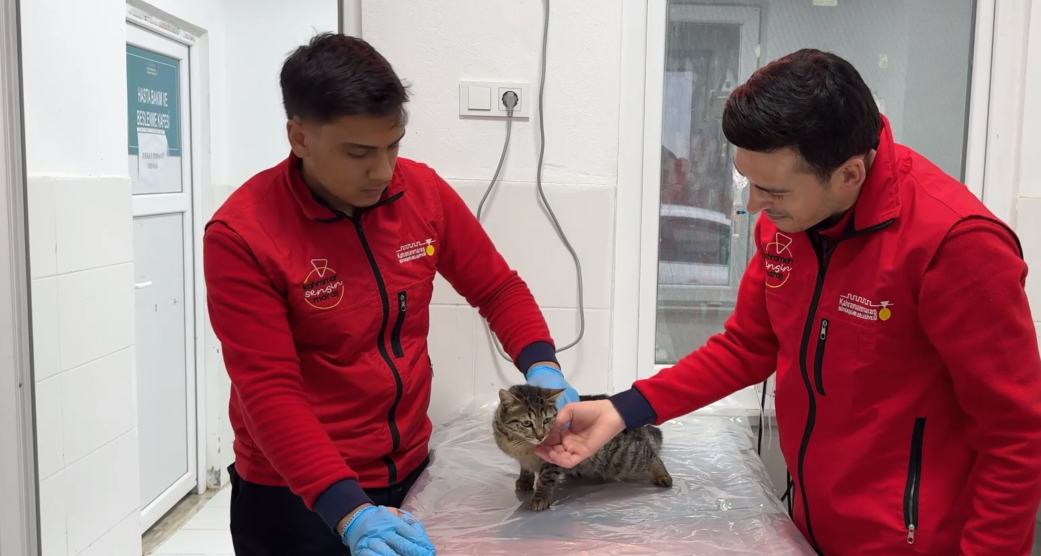 Ekran Görüntüsü 2026 02 10 120438