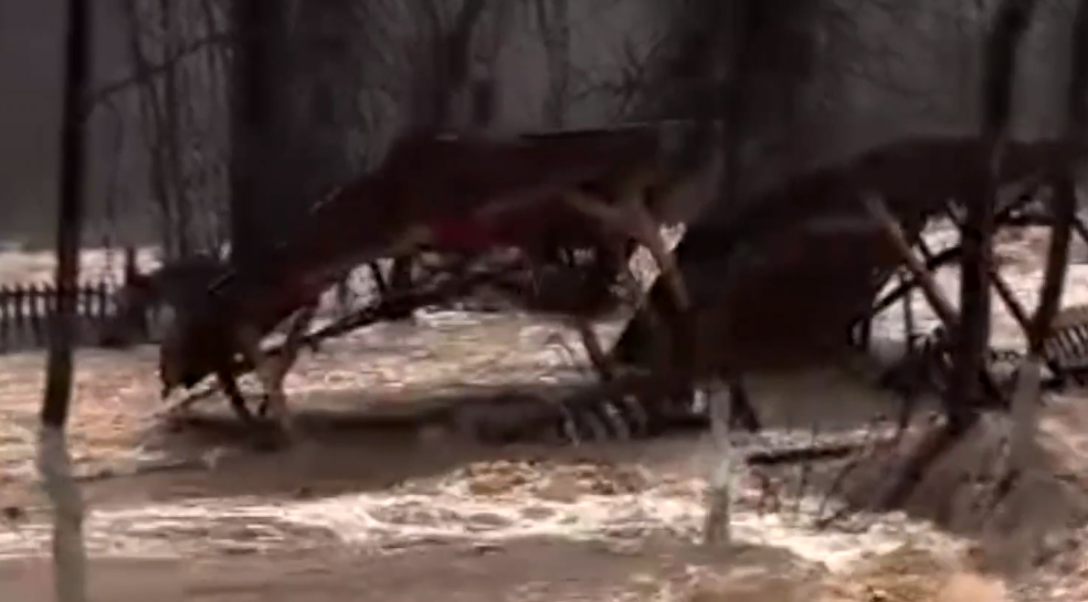 Ekran Görüntüsü 2026 02 14 093937