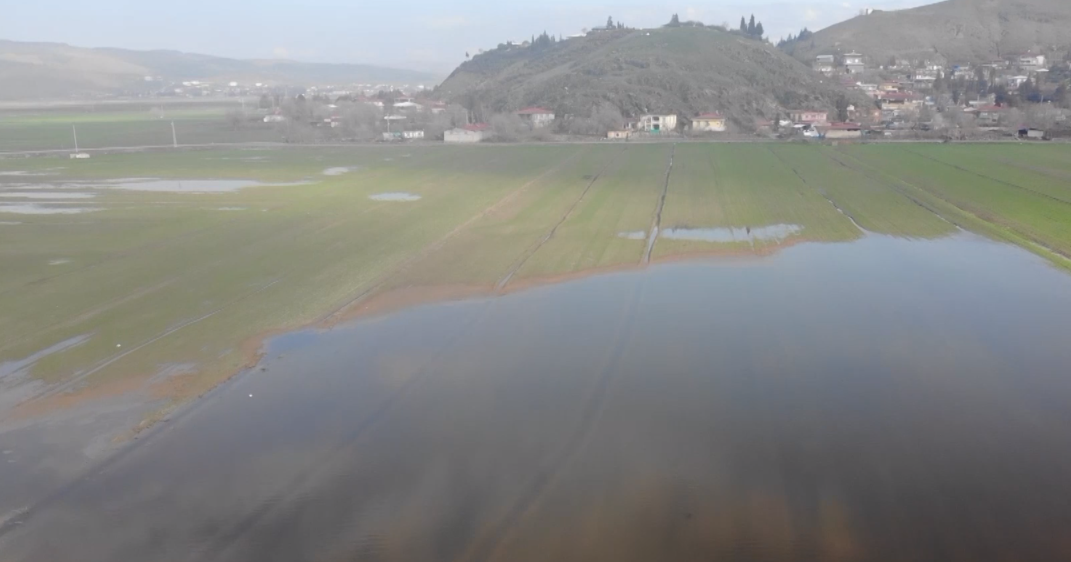 Ekran Görüntüsü 2026 02 17 100902